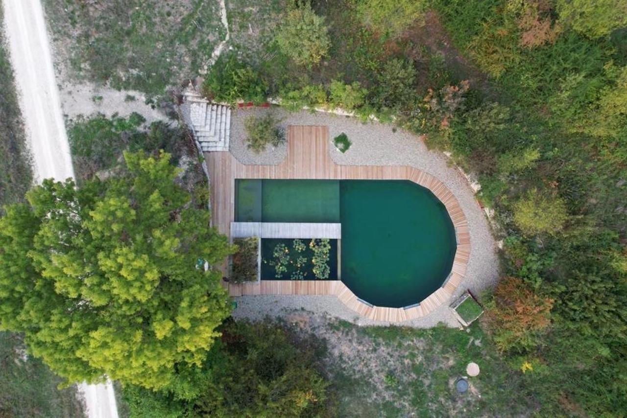 Maison Terre Les Cabanes De Fallot - Sauna Bain-Froid Piscine Naturelle L'isle-Bouzon Exterior photo